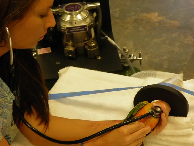 AAHA-Accredited Avian Referral Hospital AAHA-Accredited Avian Referral Hospital