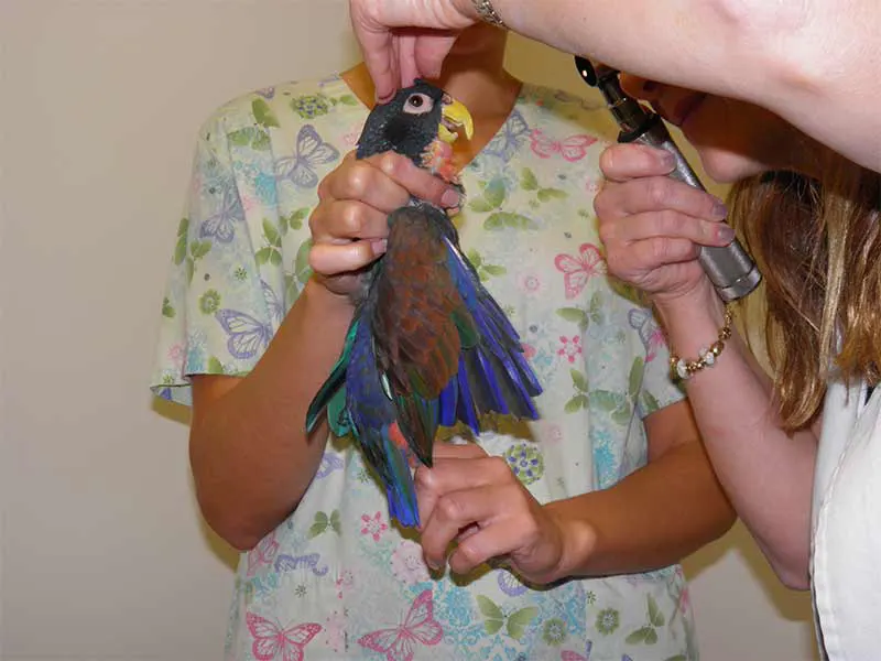 Our Mission & Core Values Our Mission & Core Values