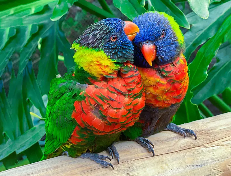 Provided in Partnership with Dr. Aiden Martin