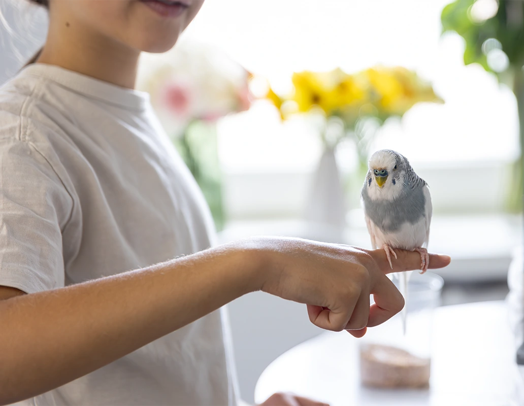 A Proactive Approach To Exotic Health