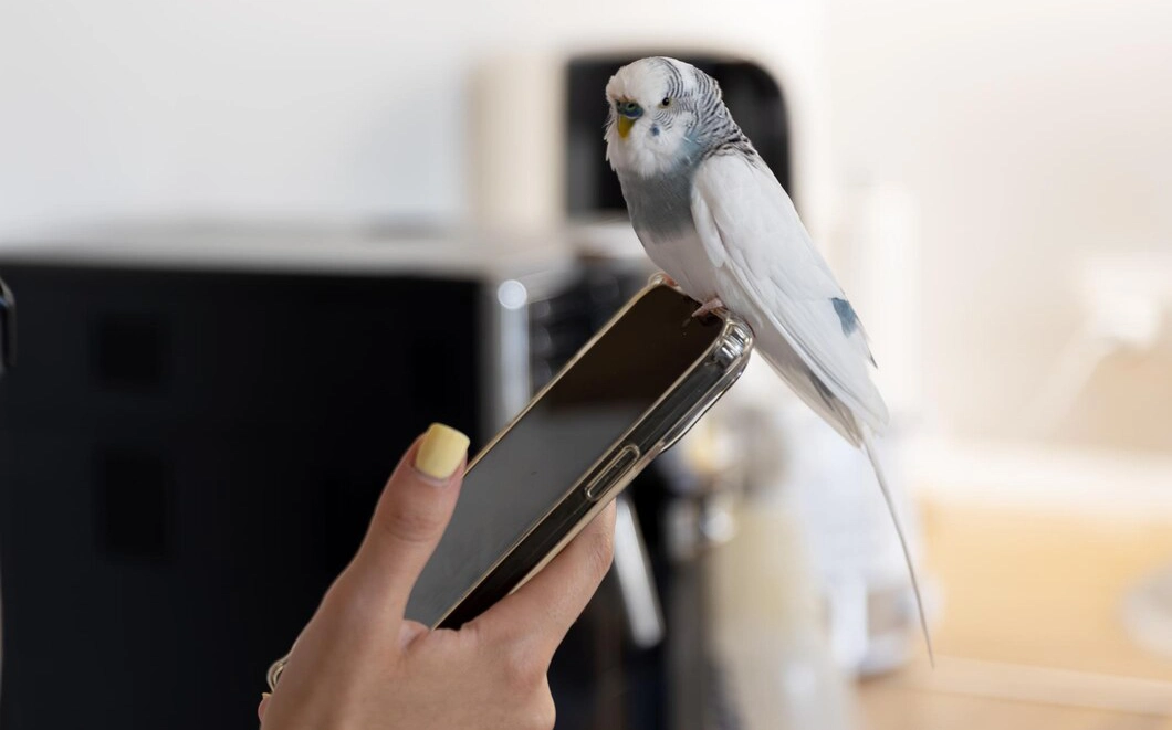 Advanced Technology with Immediate Results Advanced Technology with Immediate Results