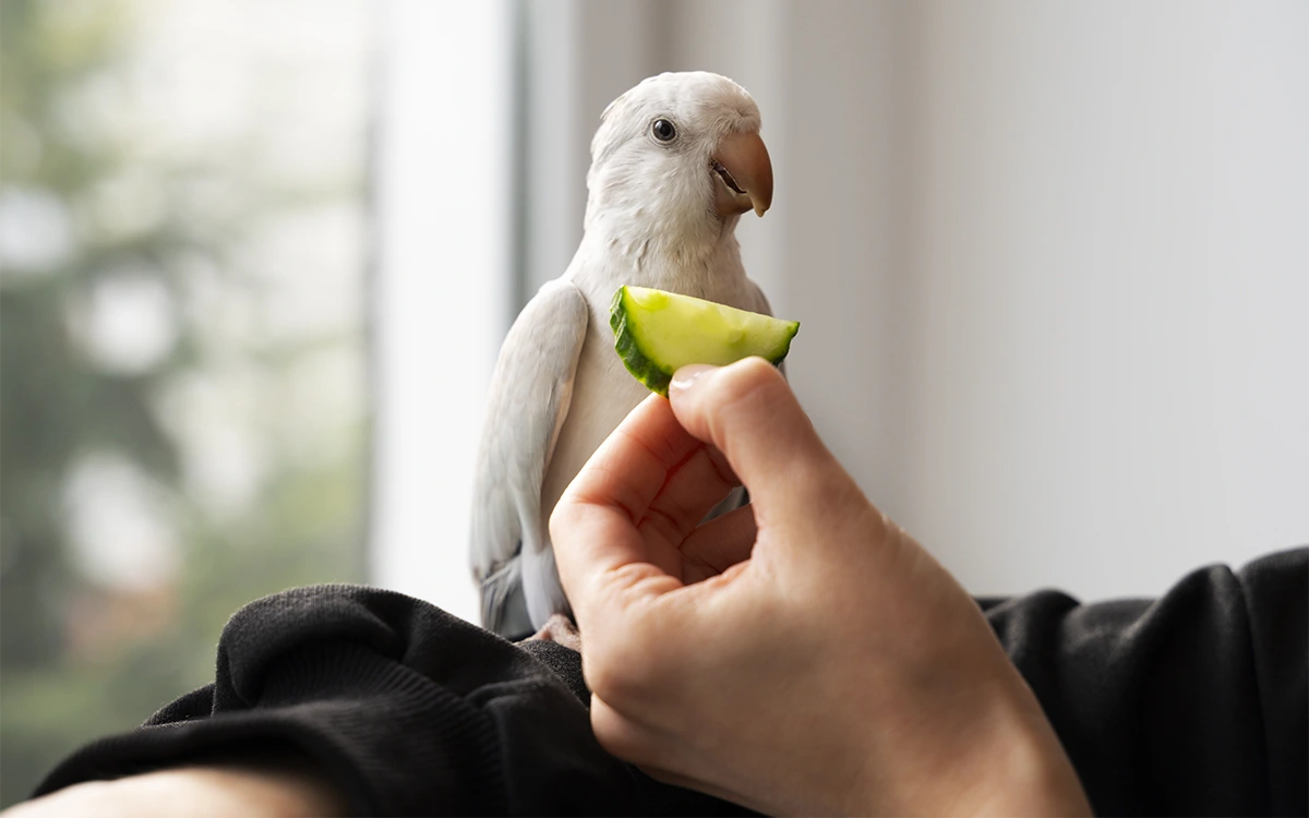 Wellness Care for Birds & Other Exotic Pets