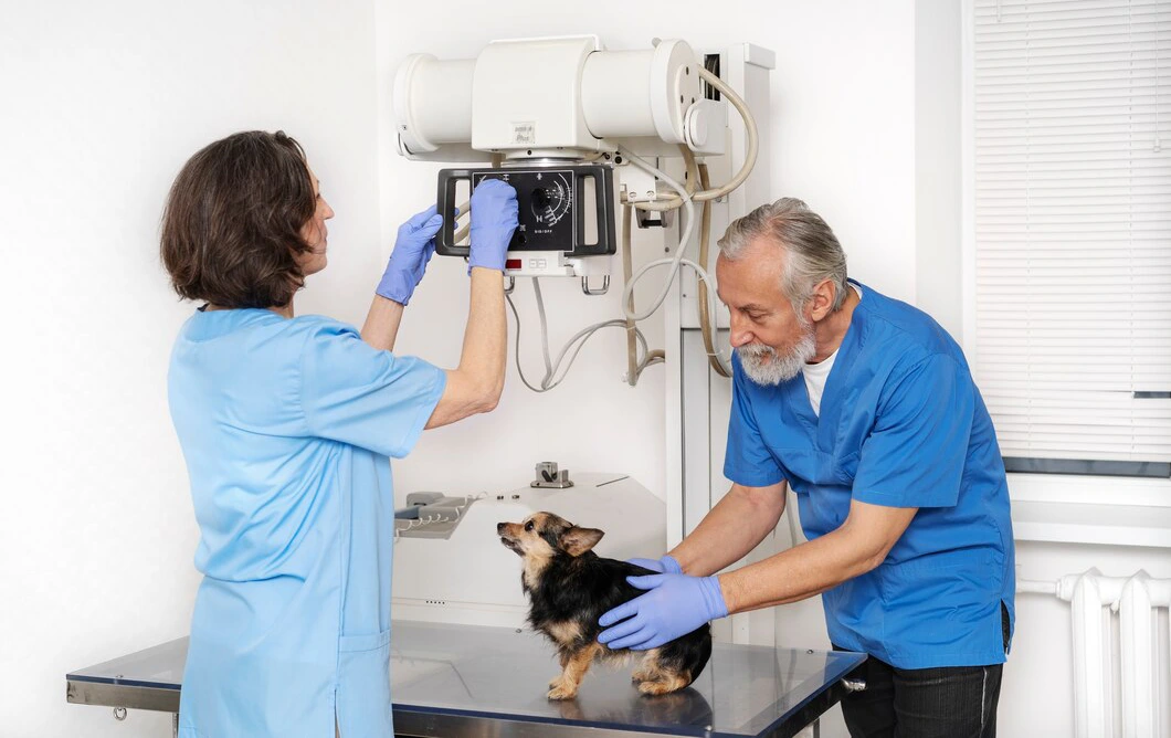 Digital Radiology (X-Ray) For Birds & Exotic Pets Digital Radiology (X-Ray) For Birds & Exotic Pets