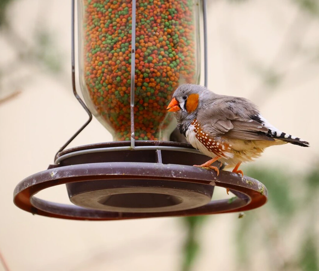 A Safe, Non-Invasive Diagnostic Option