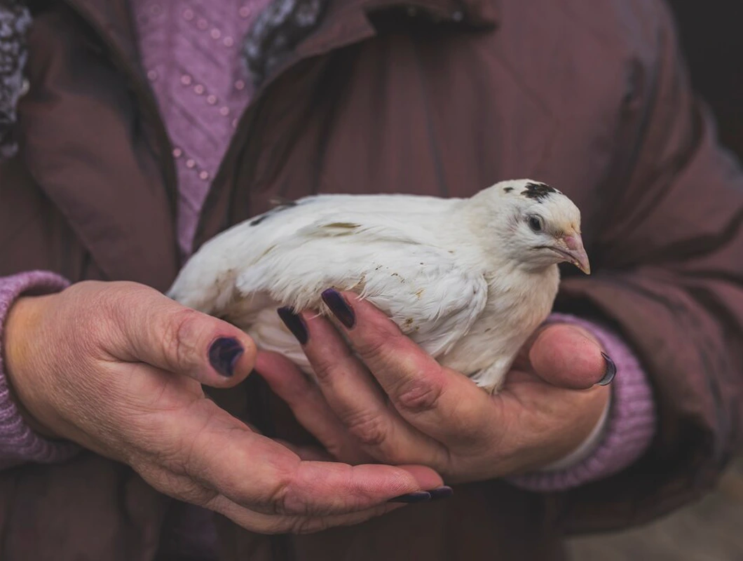 When Surgery May Be Necessary