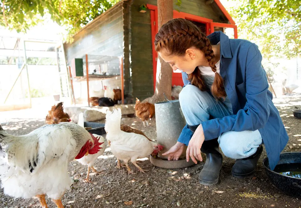 Specialized Emergency Support For Avian Patients Specialized Emergency Support For Avian Patients