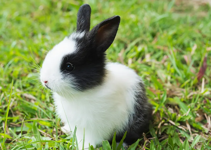 Conditions That May Benefit from Hyperbaric Therapy Conditions That May Benefit from Hyperbaric Therapy