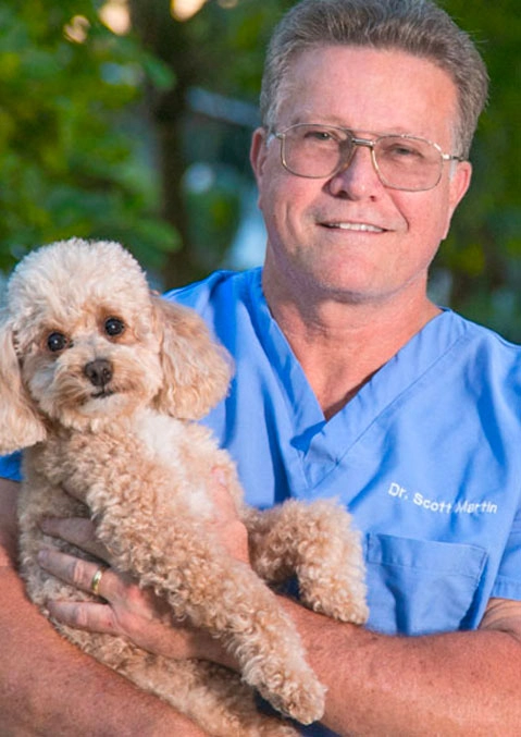 Dr. Martin Dr. Martin