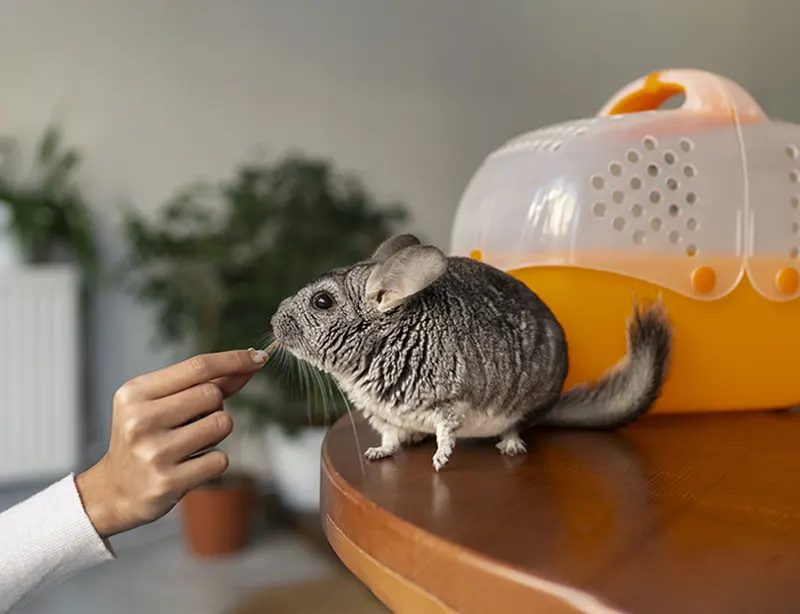 Common In-House Tests We Perform