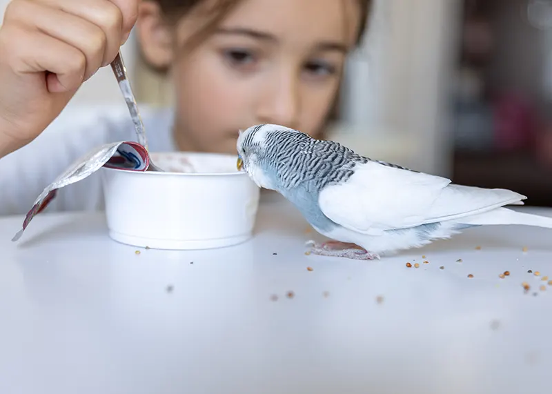 Faster Answers, More Effective Care