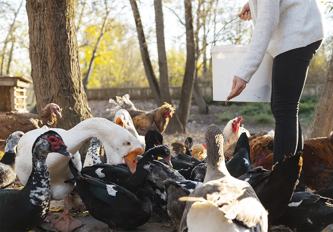 Our Preventative Approach Our Preventative Approach