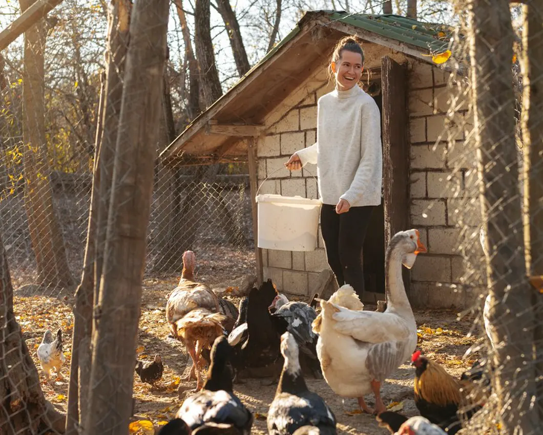 Specialized Imaging For Avian Patients Specialized Imaging For Avian Patients