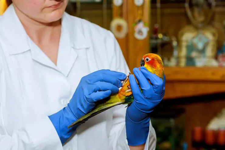 Vaccines for Birds & Exotic Pets Vaccines for Birds & Exotic Pets